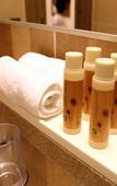 Туры в отель Holiday Inn Alpensia Pyeongchang Suites