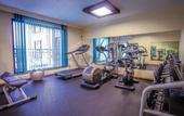 Туры в отель The Monarch Hotel