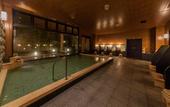 Туры в отель Nishitetsu Resort Inn Beppu