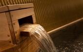 Туры в отель Nishitetsu Resort Inn Beppu
