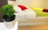 Туры в отель OYO 479 The Green Hotel