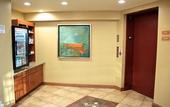 Туры в отель Best Western Plus York Hotel & Conference Center