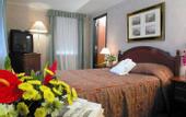 Туры в отель Jolly Hotel Madison Towers