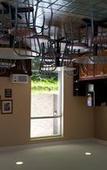 Туры в отель Americas Best Value Inn & Suites Foley Gulf Shores
