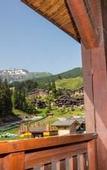 Туры в отель Hotel du Bourg
