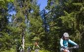 Туры в отель Hotel du Bourg