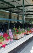 Туры в отель Hotel Miramar