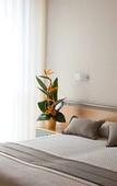 Туры в отель Hotel Miramar