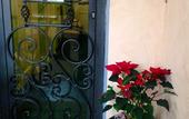 Туры в отель Hotel Giappone