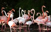 Туры в отель Villa Abbondanzi Resort