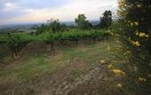 Туры в отель Agriturismo Borgo delle Vigne