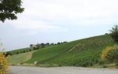 Туры в отель Agriturismo Borgo delle Vigne