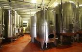 Туры в отель Agriturismo Borgo delle Vigne