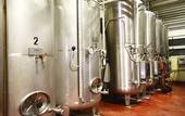 Туры в отель Agriturismo Borgo delle Vigne