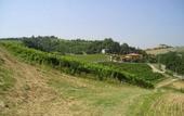 Туры в отель Agriturismo Borgo delle Vigne