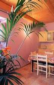 Туры в отель Country House le Calvie