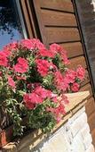 Туры в отель Country House le Calvie