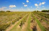 Туры в отель Best Western Premier Bryan College Station