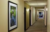 Туры в отель Best Western Premier Bryan College Station