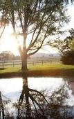 Туры в отель Parklands Resort Mudgee