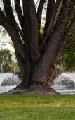 Туры в отель Parklands Resort Mudgee