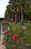Туры в отель Parklands Resort Mudgee