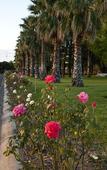 Туры в отель Parklands Resort Mudgee