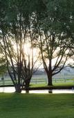Туры в отель Parklands Resort Mudgee