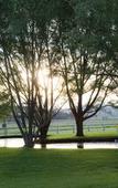 Туры в отель Parklands Resort Mudgee