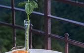 Туры в отель Hotel Al Borducan