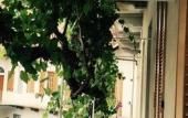 Туры в отель Albergo San Lorenzo