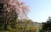 Туры в отель The Prince Karuizawa