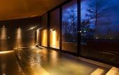Туры в отель The Prince Karuizawa