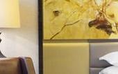 Туры в отель Four Points by Sheraton Hefei,shushan