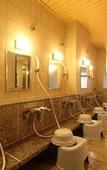 Туры в отель Sarusawaike Yoshidaya