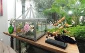 Туры в отель Yal?capk?n? Boutique Hotel - Boutique Class