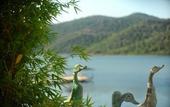 Туры в отель Yal?capk?n? Boutique Hotel - Boutique Class