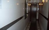 Туры в отель Maple Leaf Guest House