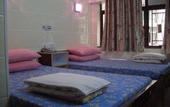 Туры в отель Maple Leaf Guest House
