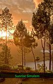 Туры в отель Taman Simalem Resort