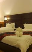 Туры в отель Taman Simalem Resort
