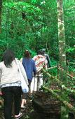 Туры в отель Taman Simalem Resort