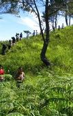 Туры в отель Taman Simalem Resort