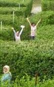 Туры в отель Taman Simalem Resort