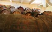 Туры в отель La Cantina Relais - Fattoria Il Cipresso
