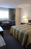 Туры в отель The Floral Park Motor Lodge