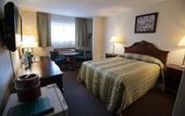 Туры в отель The Floral Park Motor Lodge
