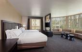 Туры в отель Holiday Inn Express & Suites Anaheim Resort Area by IHG