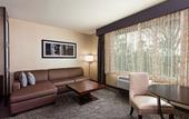 Туры в отель Holiday Inn Express & Suites Anaheim Resort Area by IHG