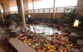 Туры в отель Hotel Wakamizu